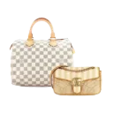 Hand Bags for Ladies